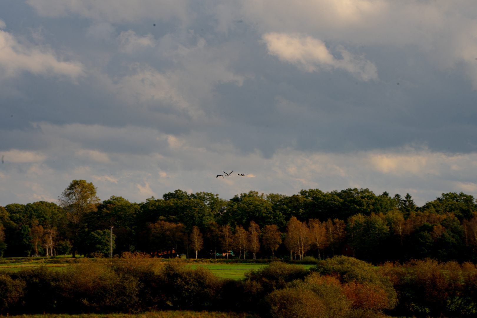 Herbst