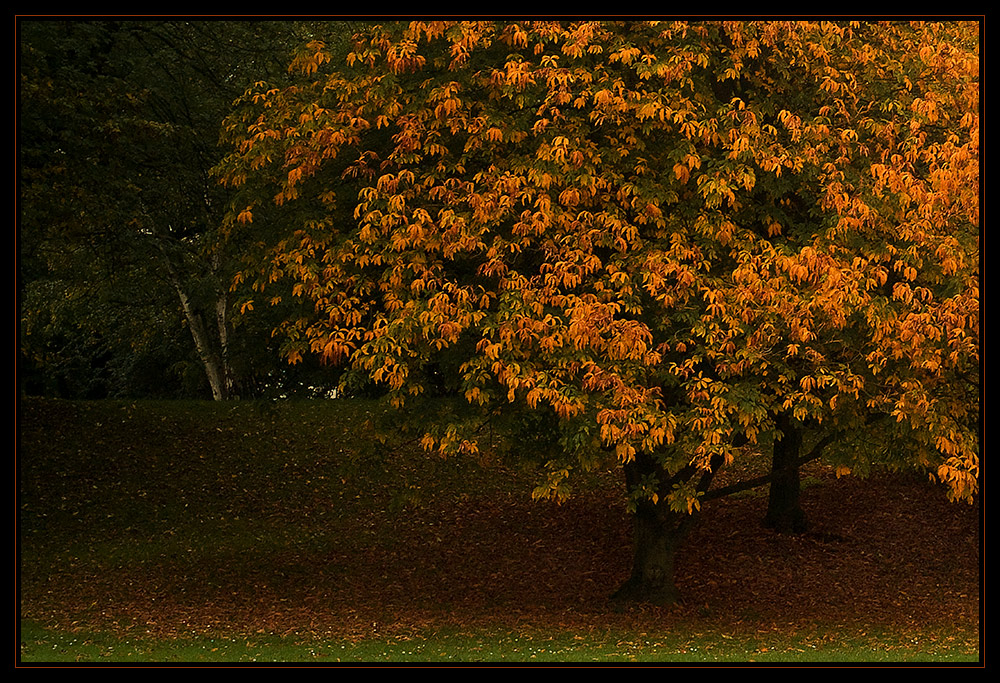 Herbst...