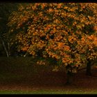 Herbst...