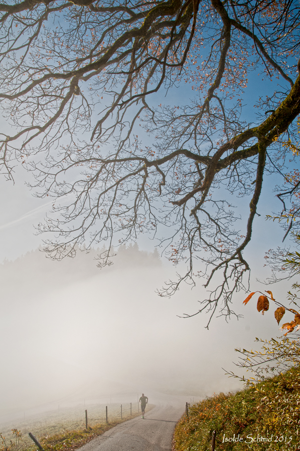 Herbst