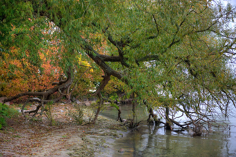 Herbst