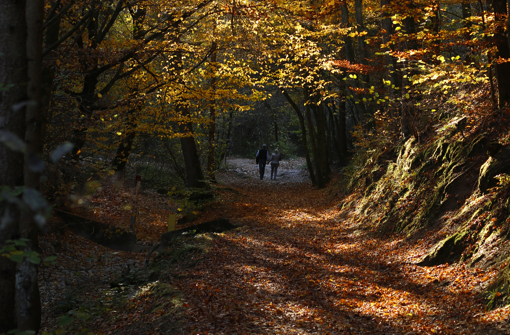 Herbst