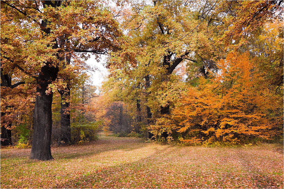 Herbst