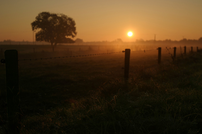 Herbst...