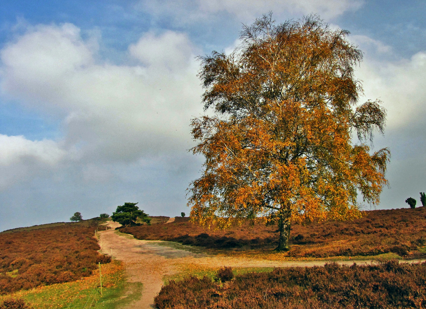 Herbst