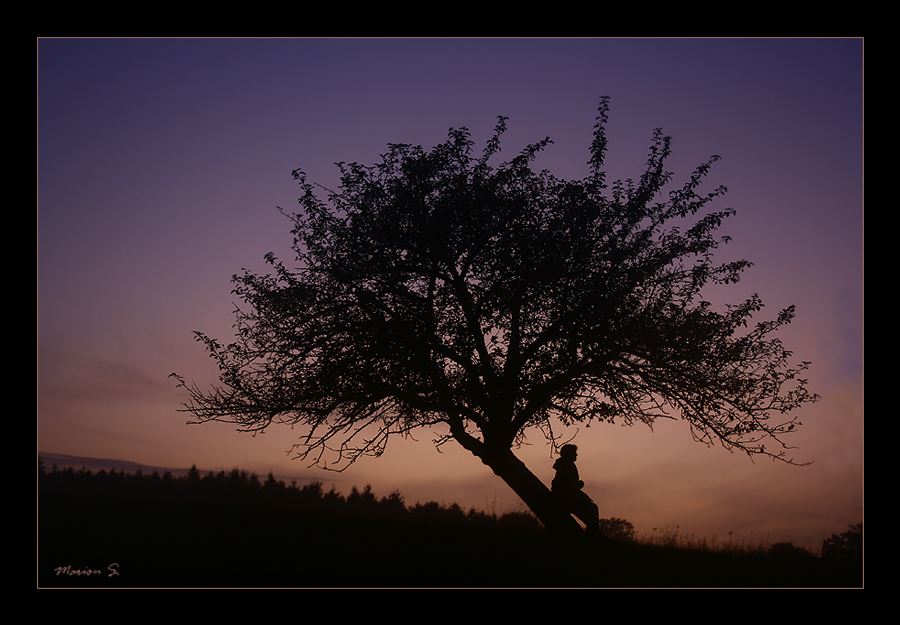 Herbst-Abend