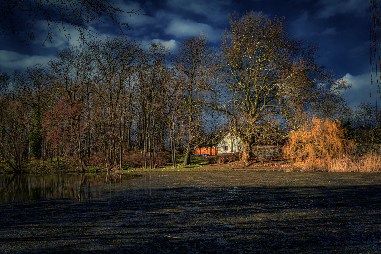 Herbst-Abend-Licht