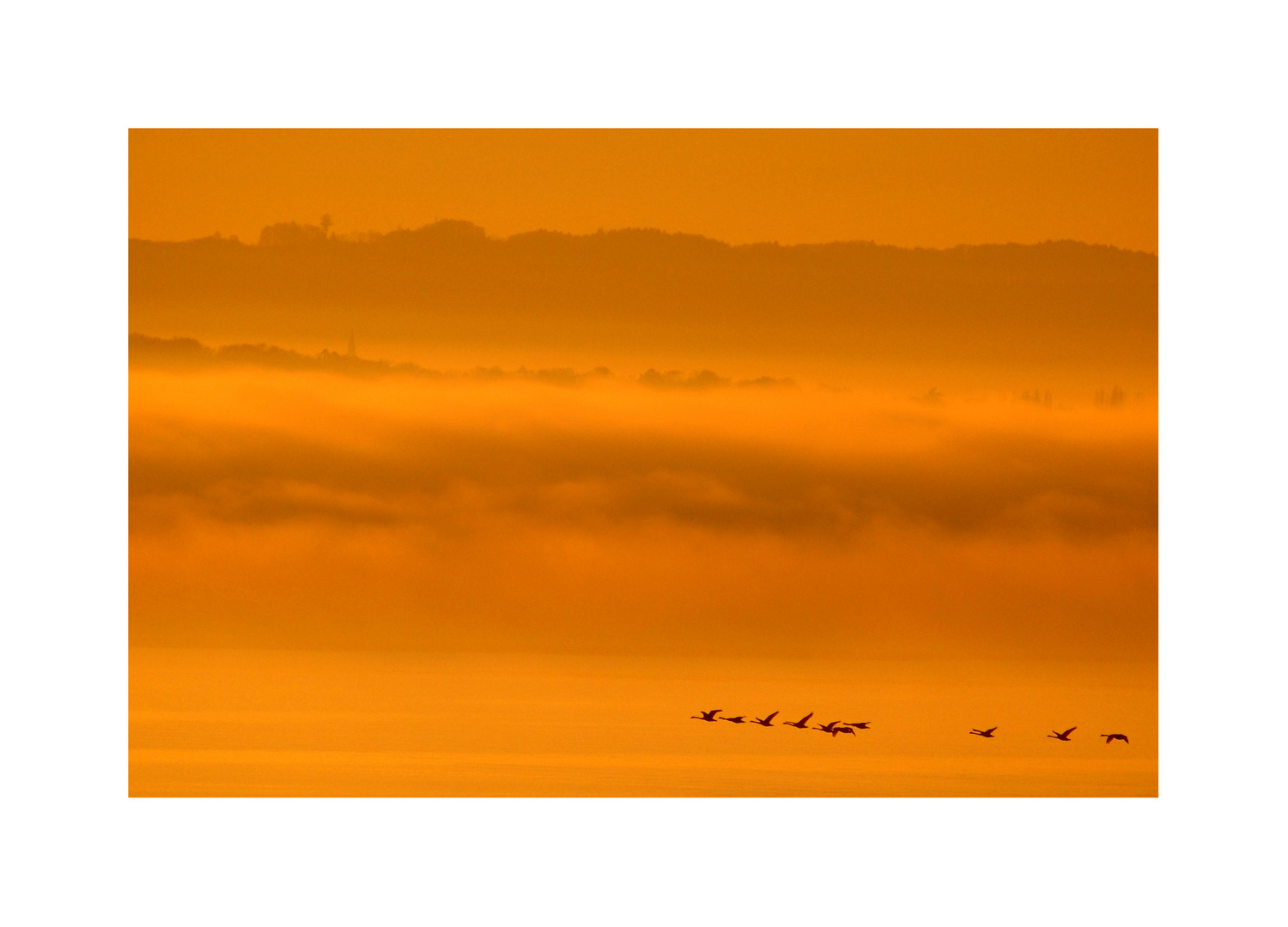 Herbst-Abend-Licht-Flug ins....