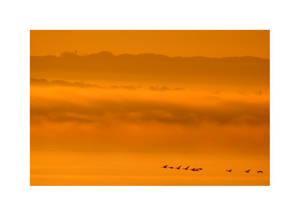 Herbst-Abend-Licht-Flug ins....