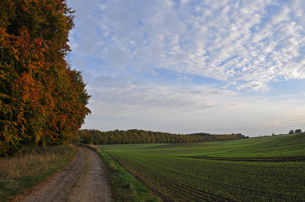 Herbst – Abend – Weg