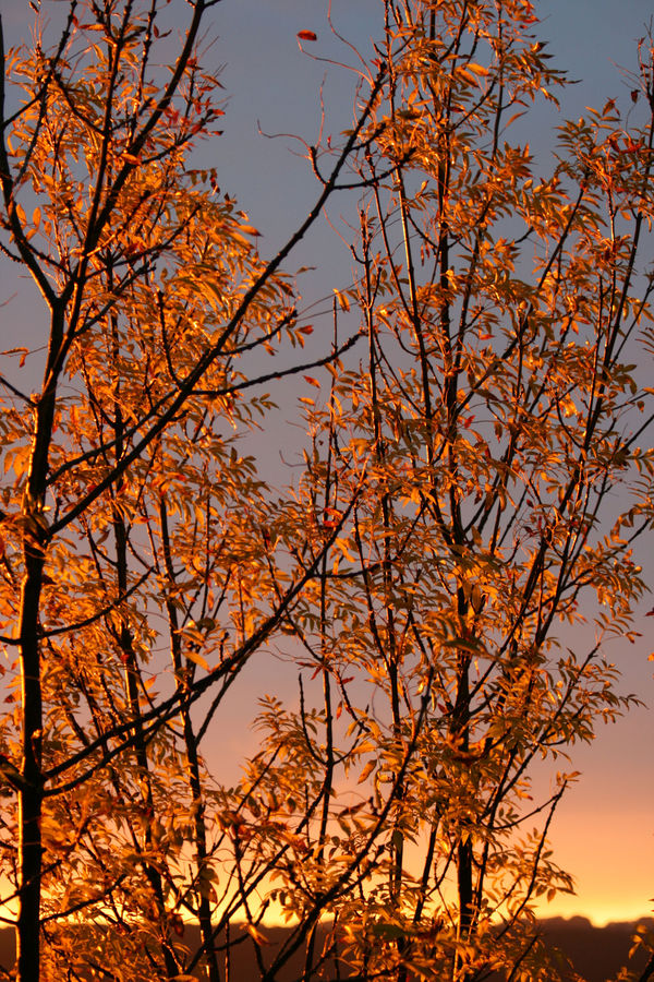 Herbst - Abendrot