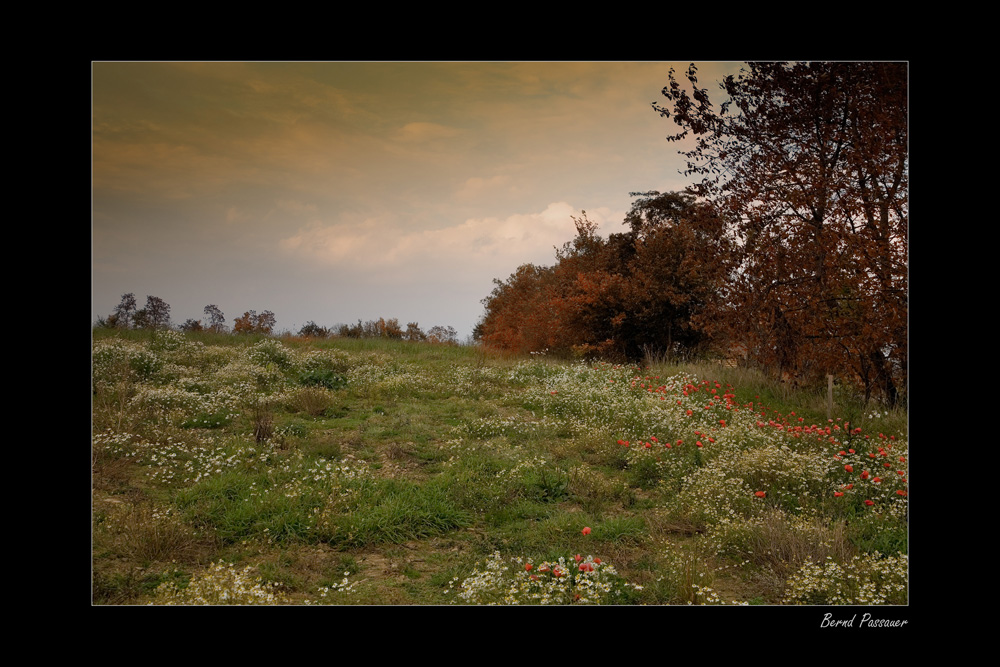 Herbst, aber immer auch noch Sommer ...