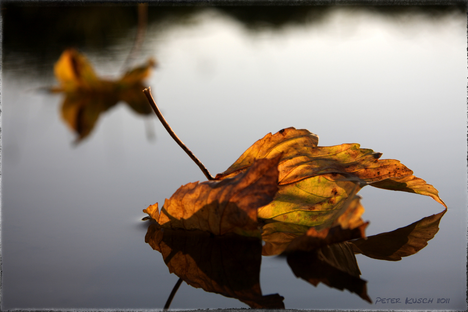 Herbst