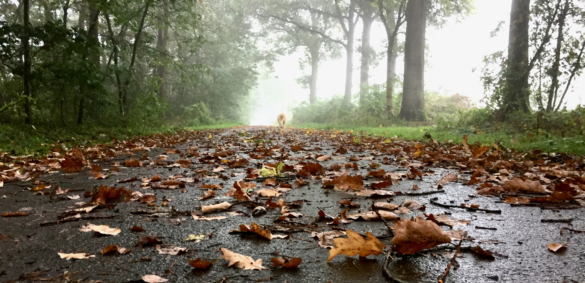 hErbSt...