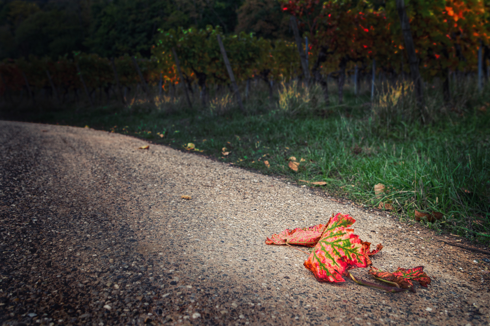 Herbst