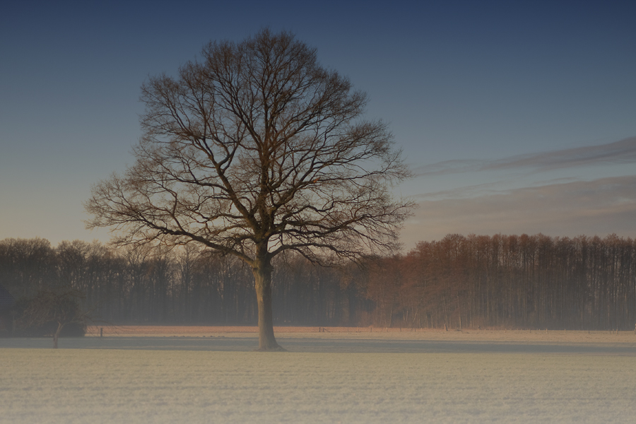 Herbst, ade