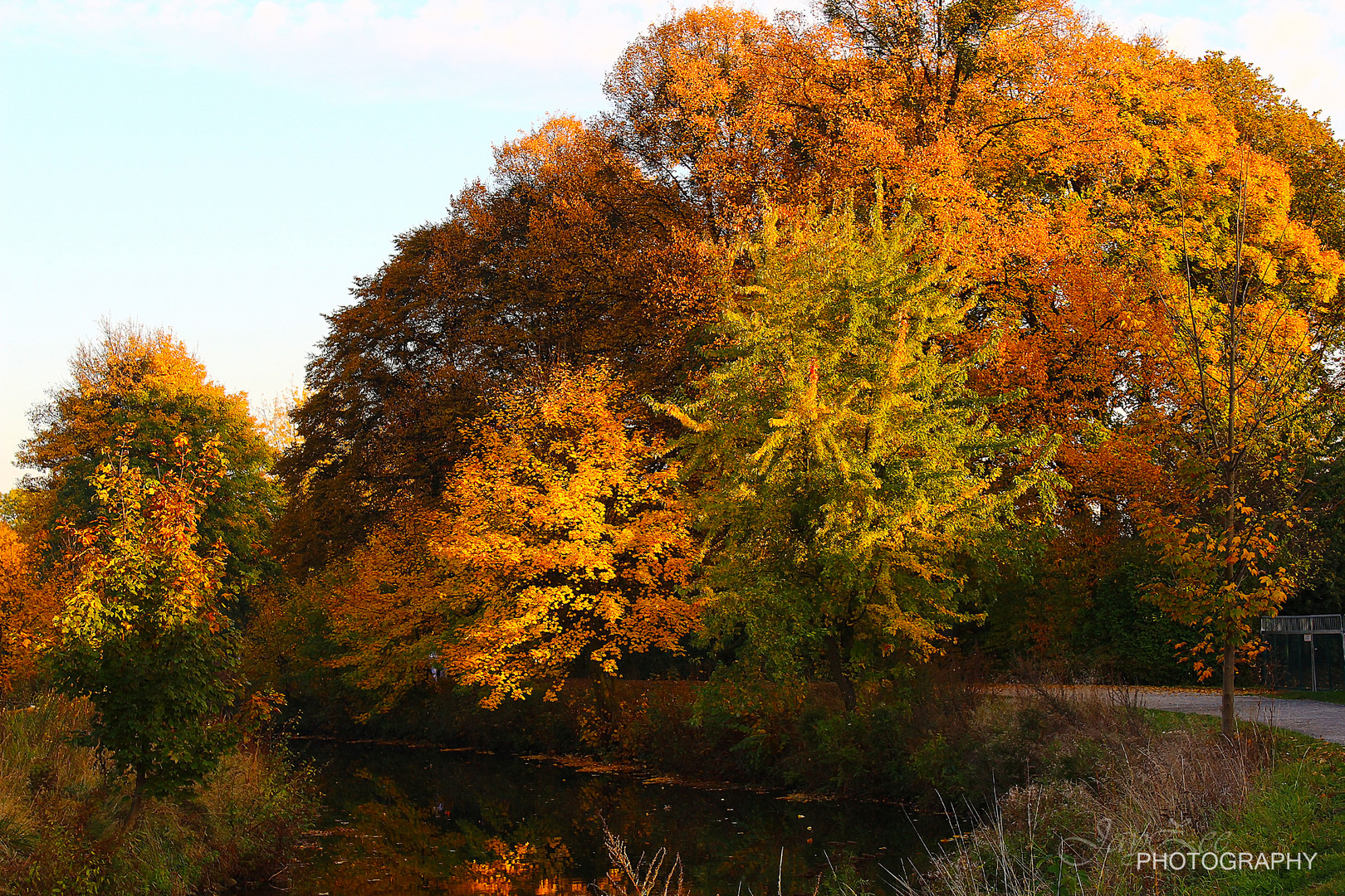 Herbst