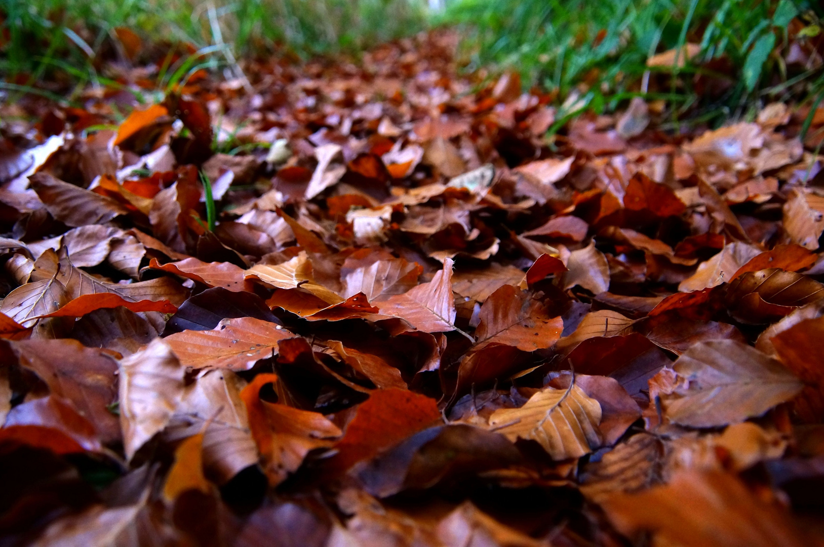 Herbst ...