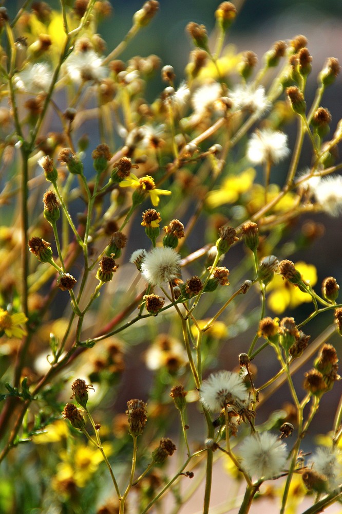 Herbst:)