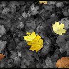 ...herbst...