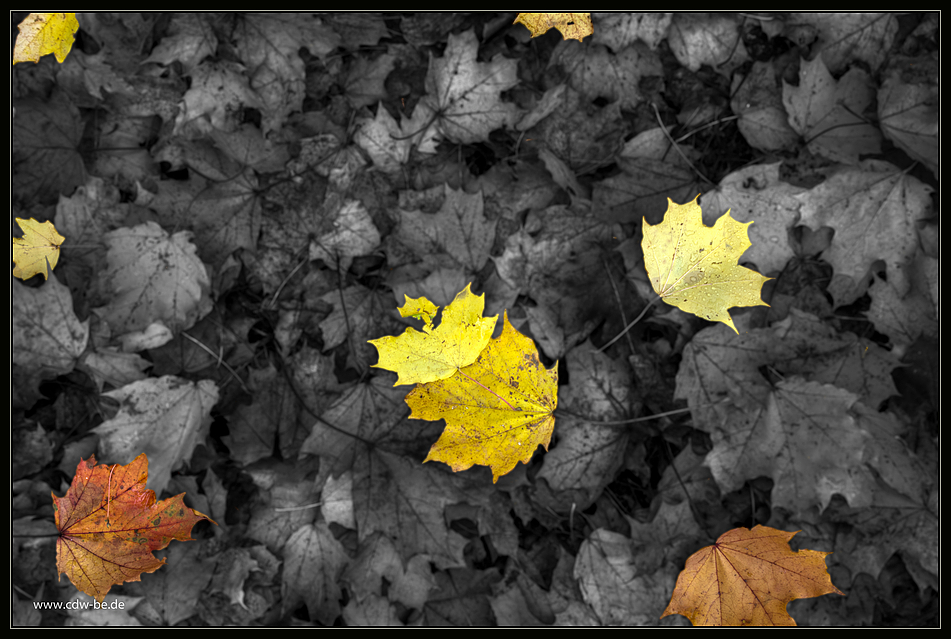 ...herbst...