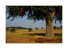 Herbst Ahnung II