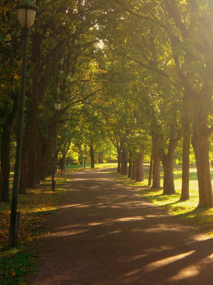 Herbst Alee