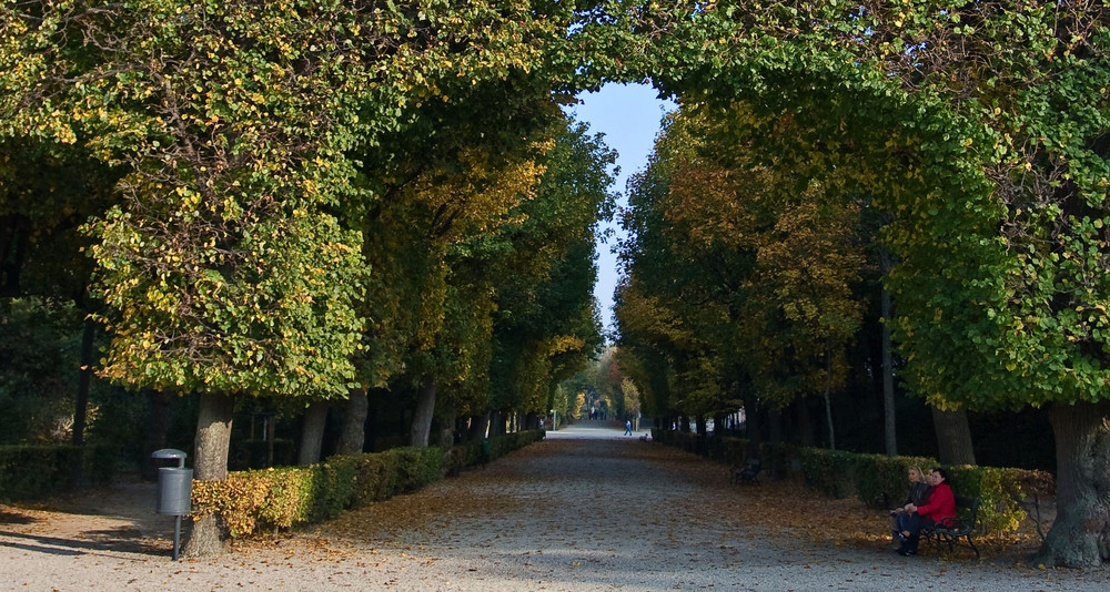 HERBST ALLE IN SCHÖNBRUNN-2