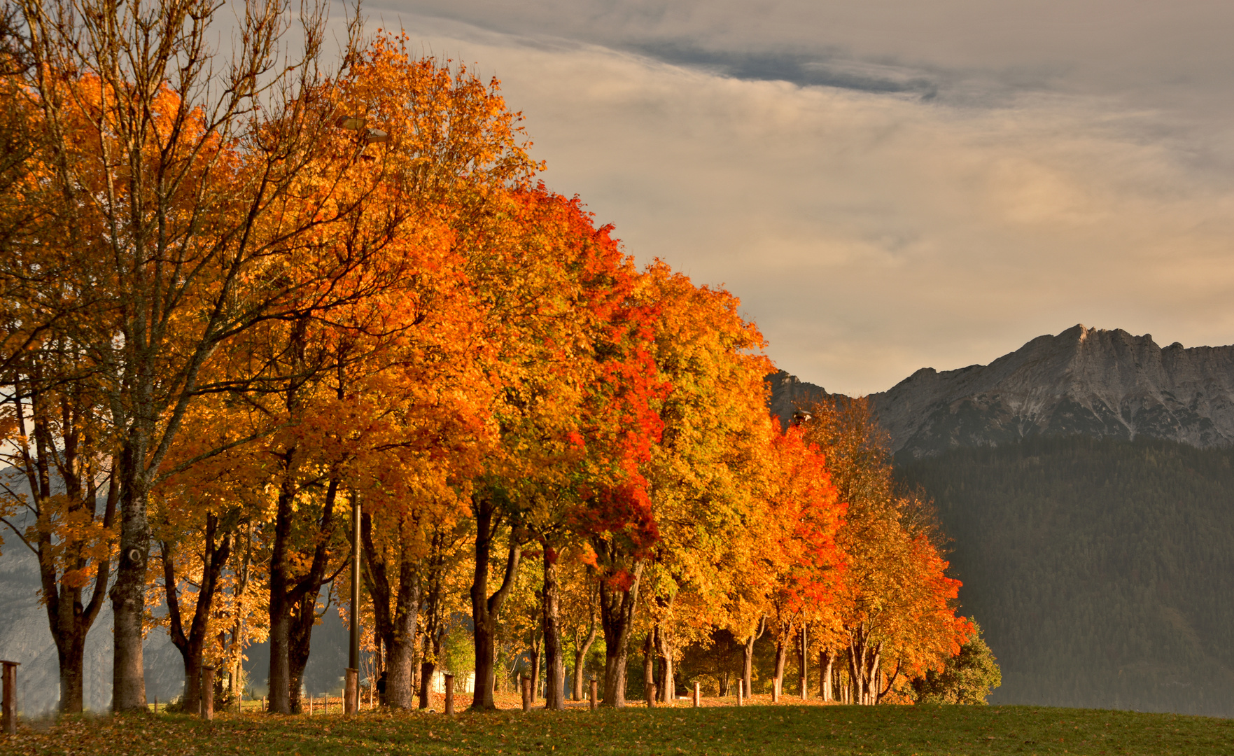 Herbst-Allee