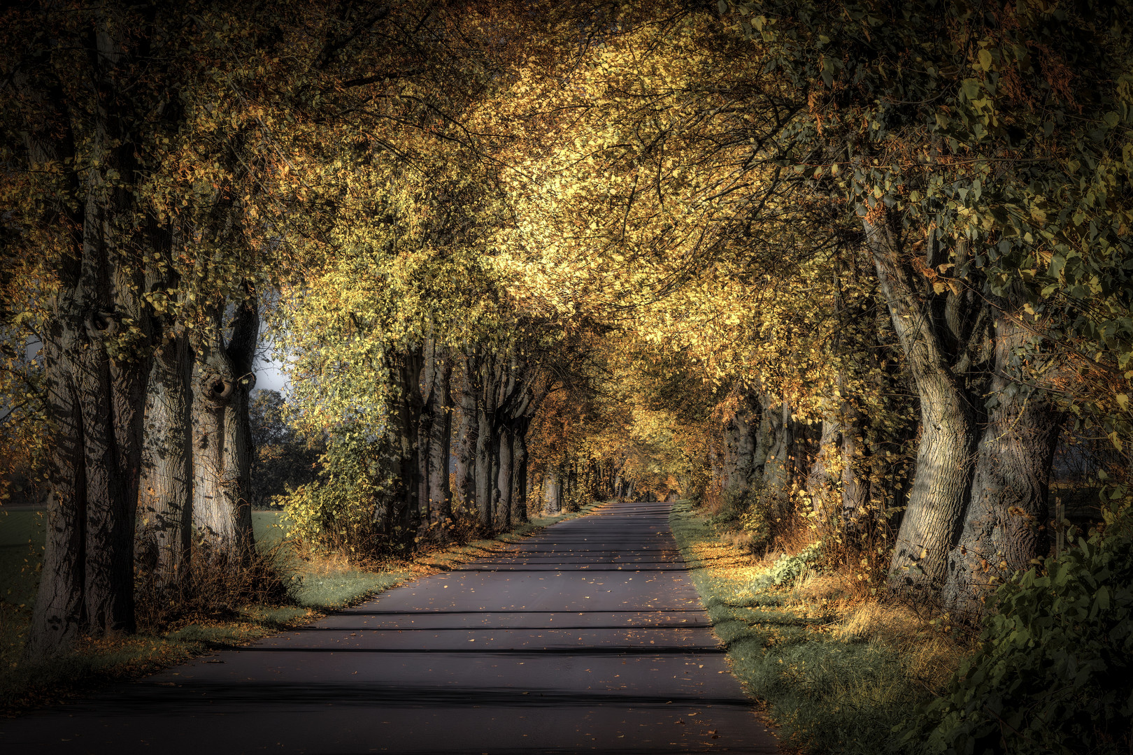 Herbst-Allee