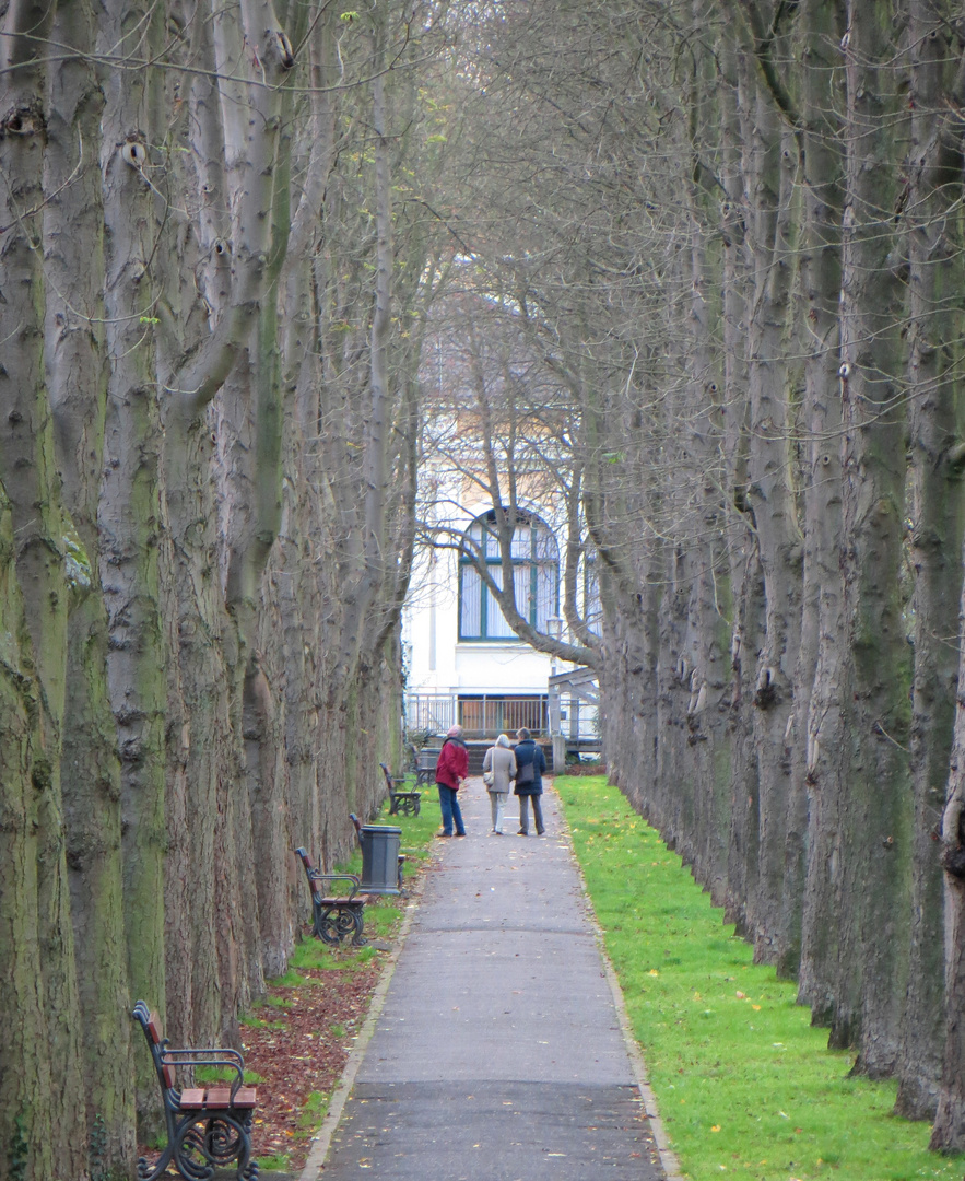 Herbst-Allee