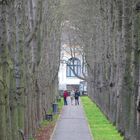 Herbst-Allee