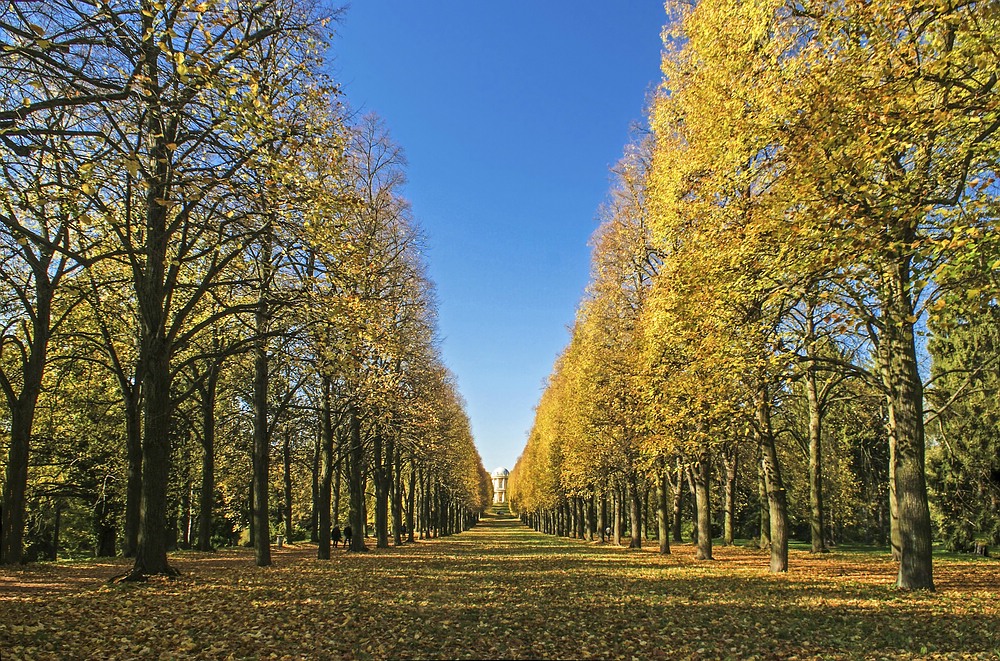 Herbst-Allee