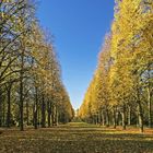 Herbst-Allee