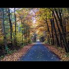 Herbst-Allee