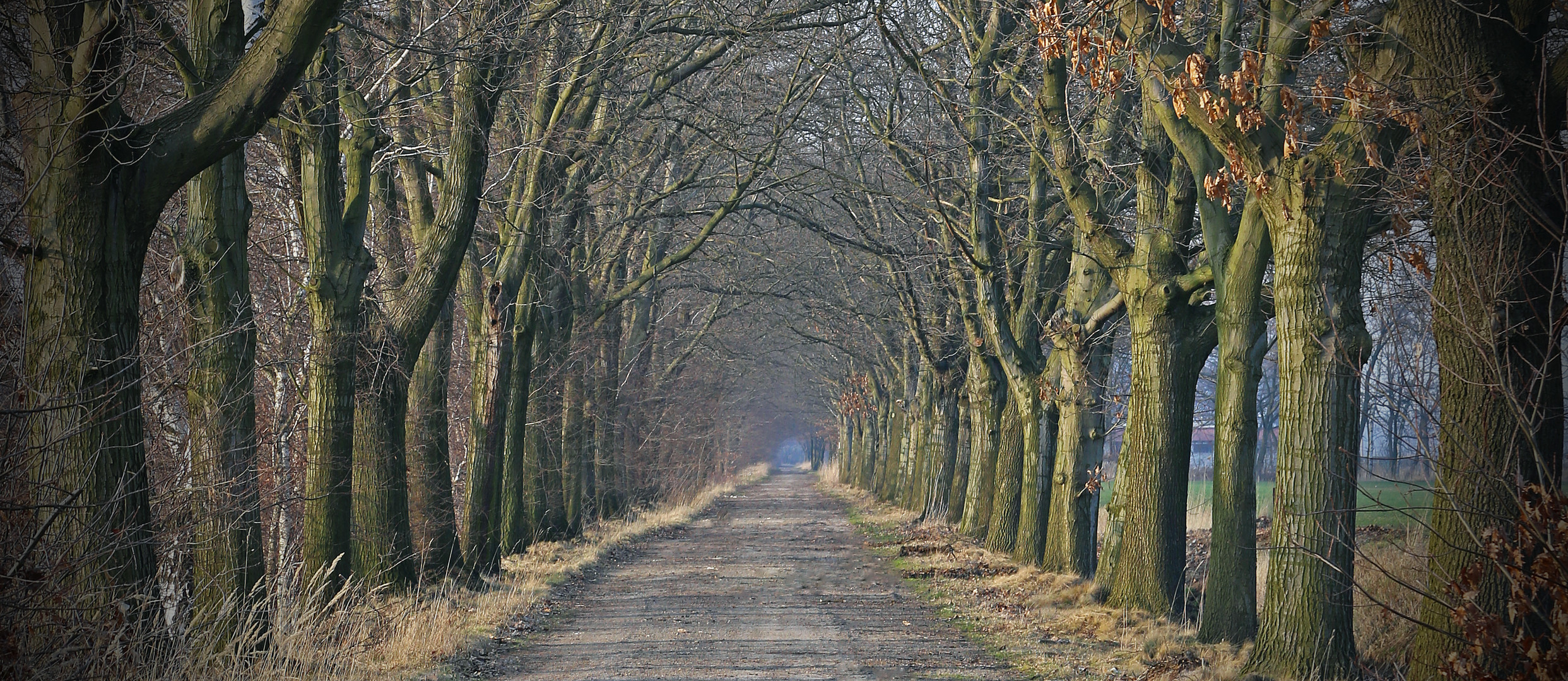 Herbst-Allee