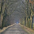 Herbst-Allee