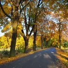 Herbst-Allee.....