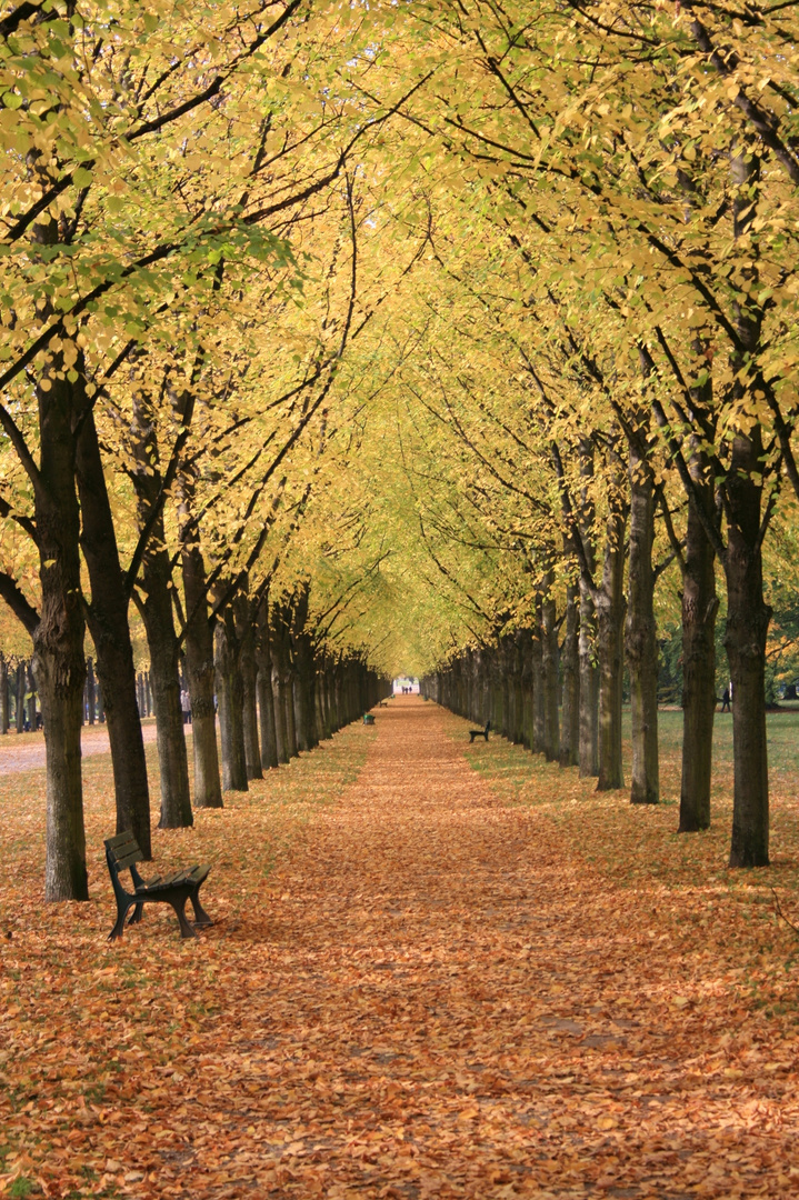 herbst allee