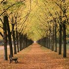 herbst allee