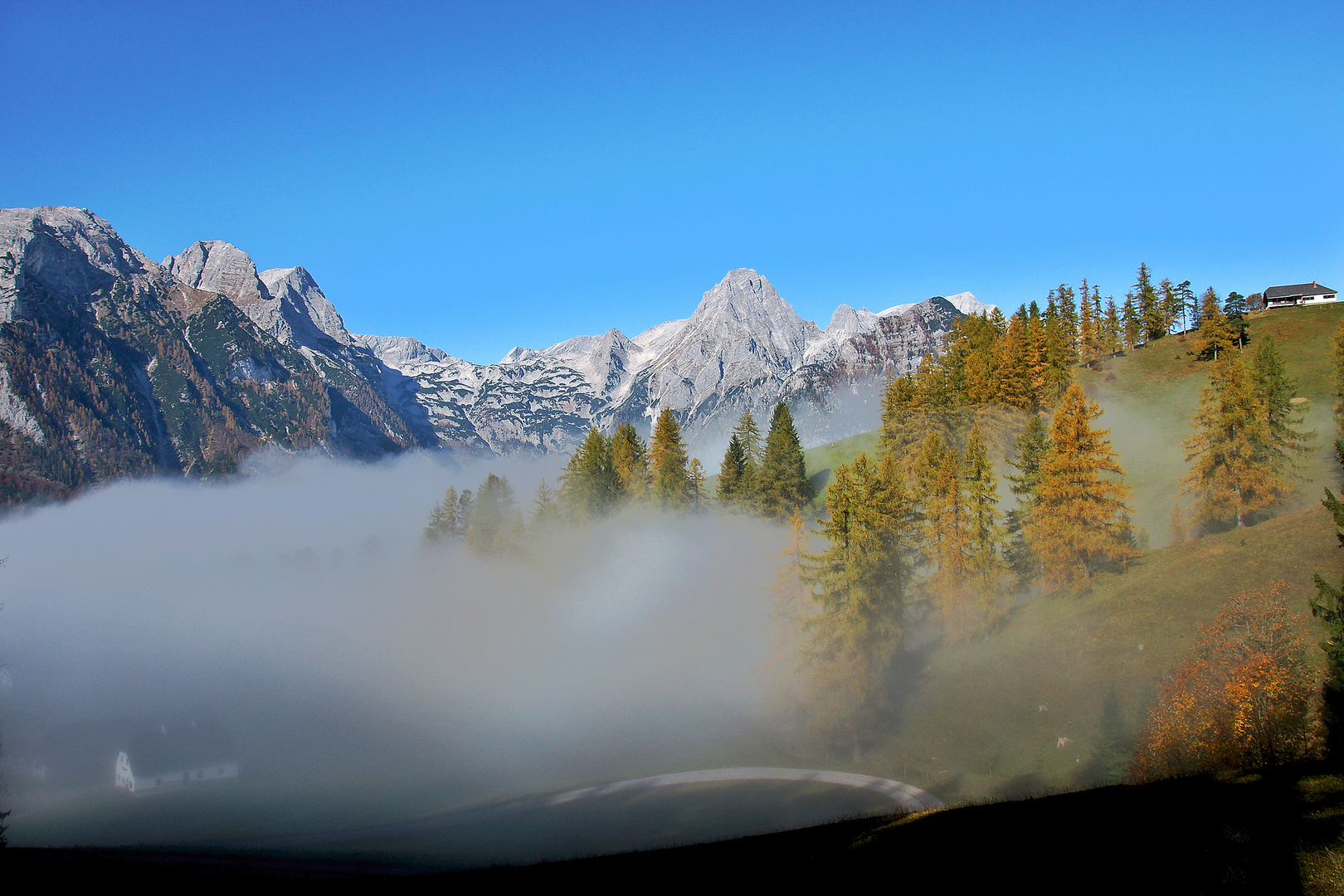 Herbst Alm-Hütte im Nebel