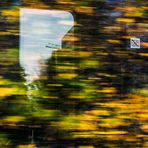 HERBST ALS HUSCHWUSCH MIT BLICK AUF BRANDENBURGISCHE WÄLDER AM BERLINER SÜD-RING