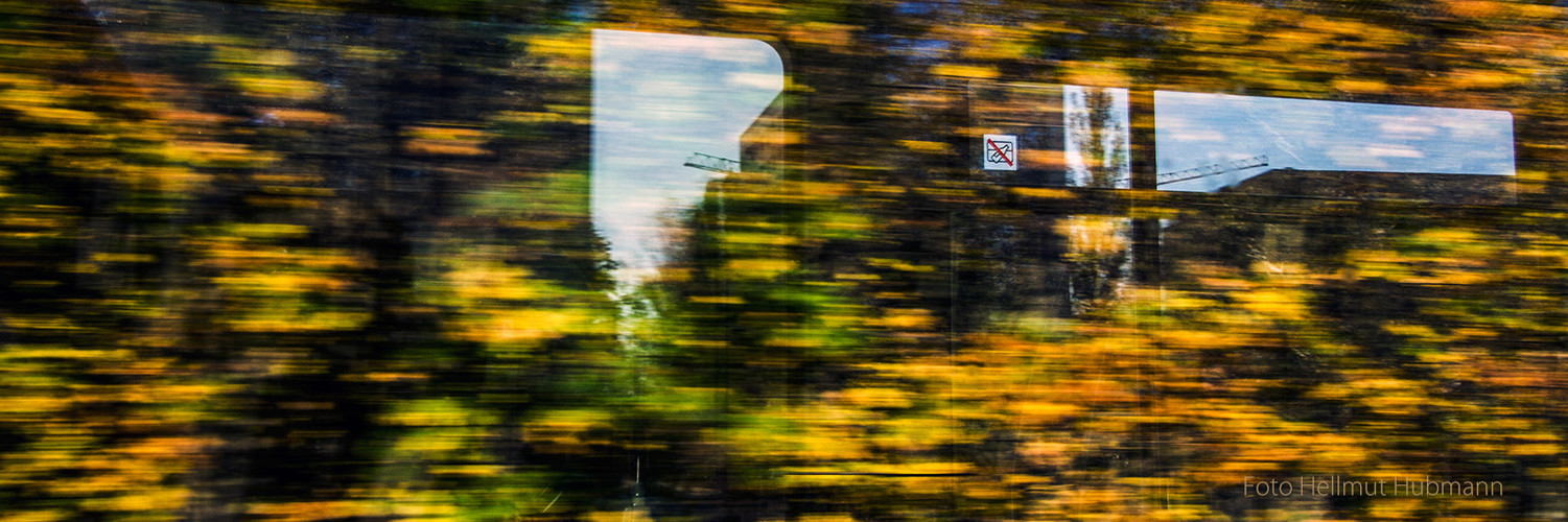 HERBST ALS HUSCHWUSCH MIT BLICK AUF BRANDENBURGISCHE WÄLDER AM BERLINER SÜD-RING