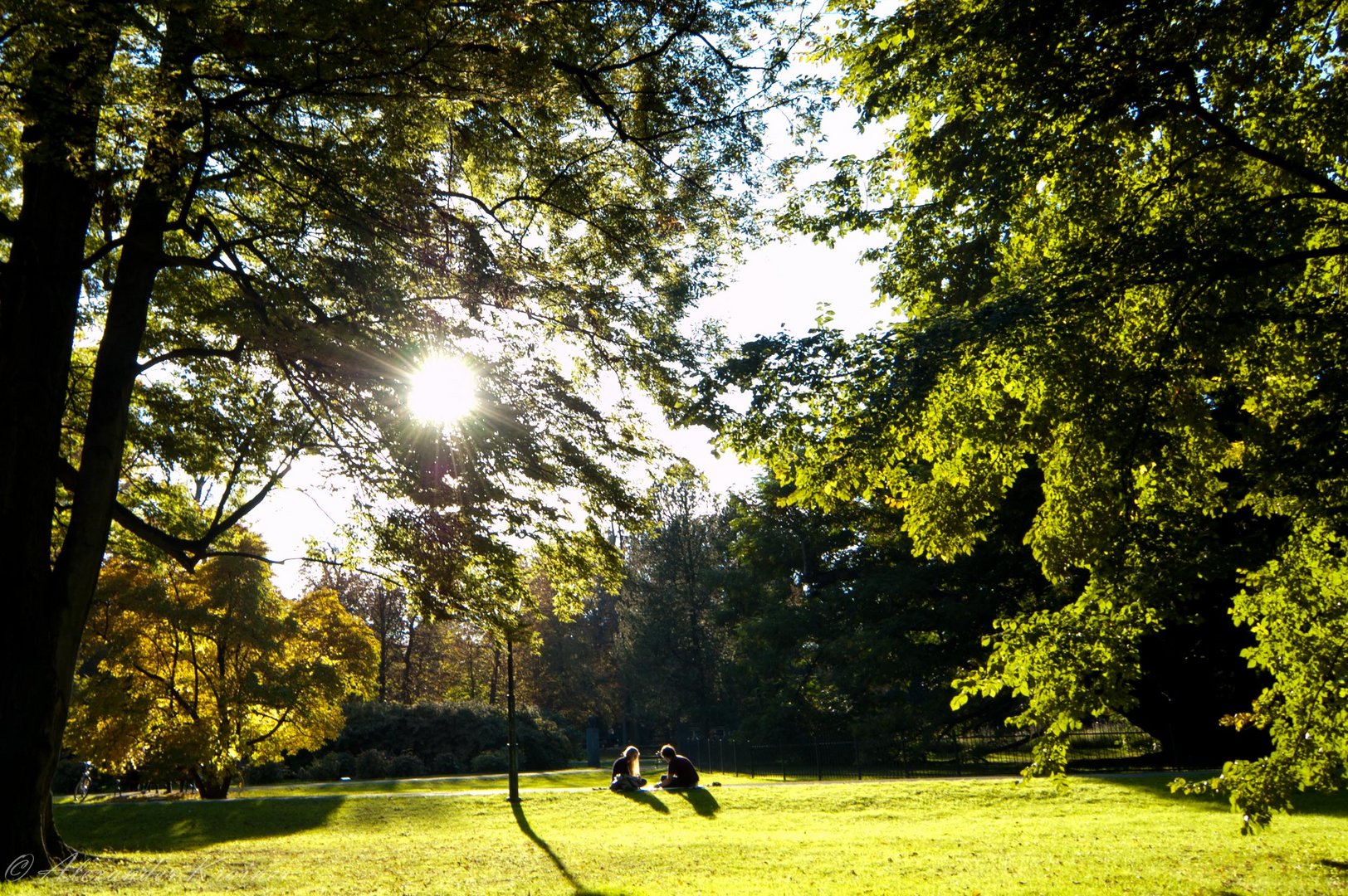 Herbst als Künstler