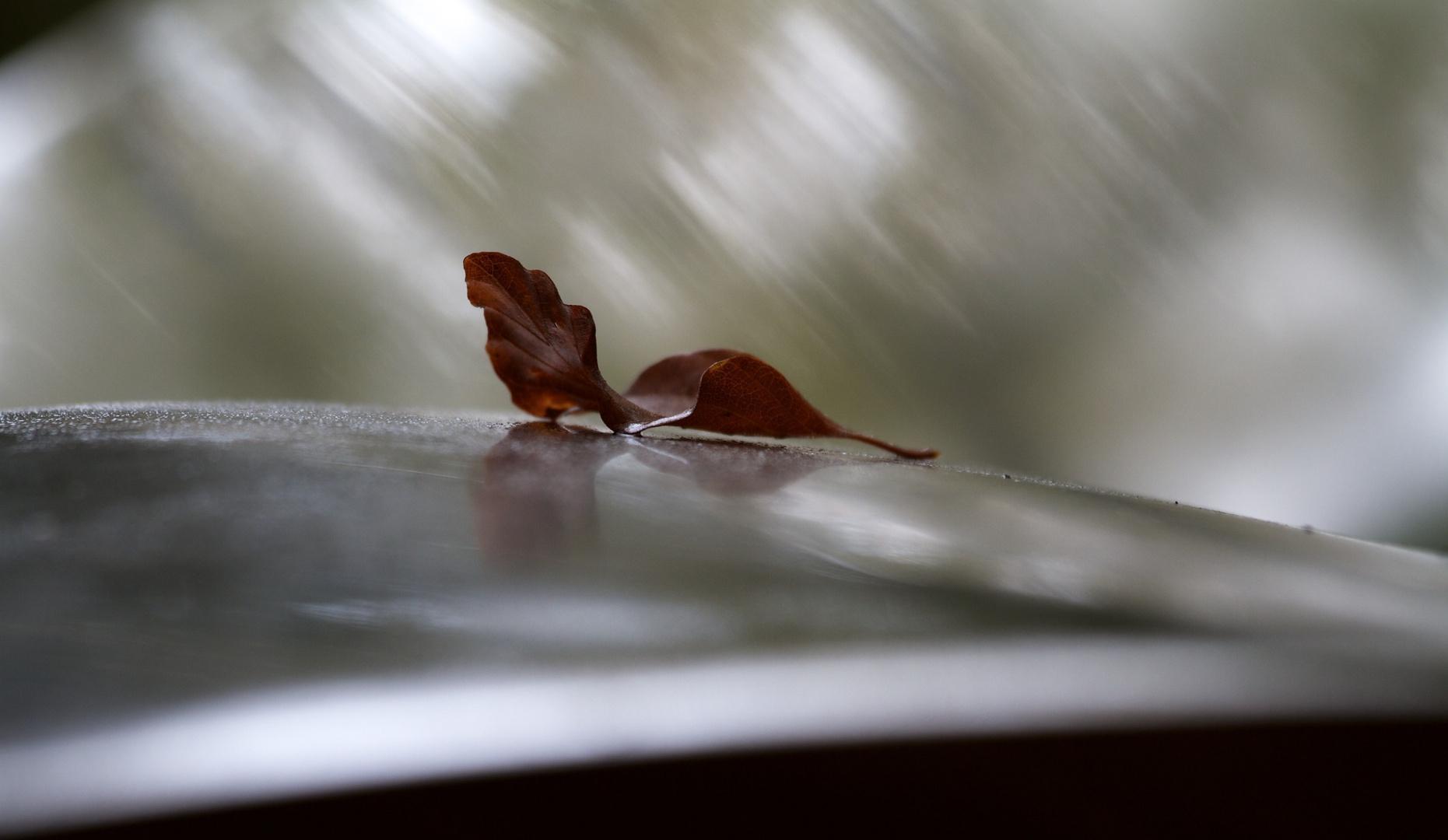 Herbst als Teil der Kunst.