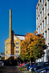 HERBST ALS VERBINDUNG ZWISCHEN DAMALS UND HEUTE