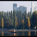 Herbst ~ Alte Donau V