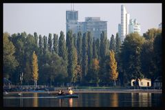 Herbst ~ Alte Donau V