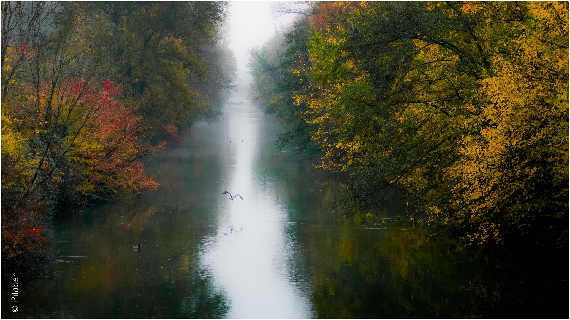 Herbst, alter Meister