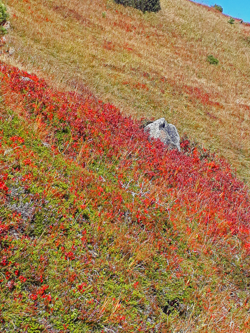 Herbst am 11er im Stubaital